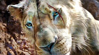 MUFASA THE LION KING quotHow Scar Got His Scar Scenequot Trailer NEW 2024 [upl. by Ted]