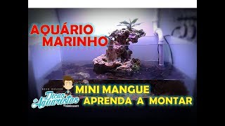 Aprenda a montar um mini mangue [upl. by Levin]