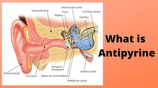 What is Antipyrine [upl. by Philbin]