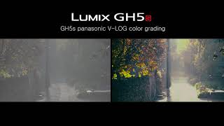 4K UHD 60fps Panasonic Lumix GH5s V LOG color gradingShort Cinematic Footage [upl. by Lena]