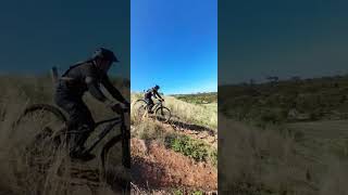 FOCUS thron  MTB new bike are they good trail bike 2 [upl. by Aleusnoc]