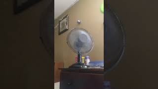 2 Mainstays desk fans and Pelonis box fan running on all 3 speeds [upl. by Monte823]