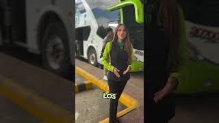 ¡Llegó la semana de receso escolar 💚🚌 Es el momento perfecto para viajar en familia con nosotros✨ [upl. by Mclain]