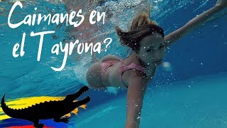 Aventura en El Parque Tayrona  Santa Marta I Colombia Vlog 5 [upl. by Aikem]