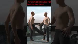 Exercice pour laine 3972 art shaolin [upl. by Stevena]