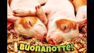 Buonanotte Immagini Bellissime GIF Animate Nuove di Auguri Divertenti con Animali che Sbadigliano 😴 [upl. by Piderit]