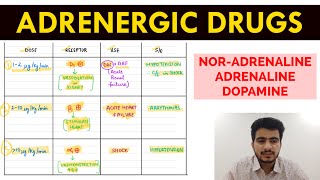 Autonomic Pharmacology  15  NorAdrenaline  Adrenaline amp Dopamine  EOMS [upl. by Aimahc912]