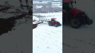 Case IH Optum 300 cvx  Lemekn EurOpal 8 [upl. by Samtsirhc922]