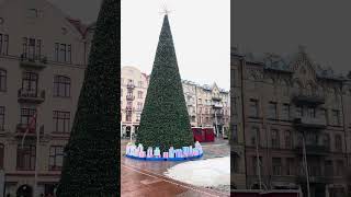 Helsingborg Sweden 2 December 2024 sweden travel helsingborg สวีเดน [upl. by Hughes]