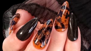 The Daily Nail Tortoiseshell Dip Powder Nails diynails Nails dipnails [upl. by Nodal133]