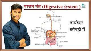 The Muscular and Digestive System in Human Beings  Std 7  Science  Ch 12  Maharashtra Board [upl. by Luas]