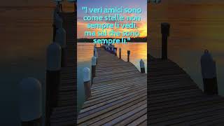 Citazioni Celebri di Schopenhauer sull’Amicizia [upl. by Llevart360]