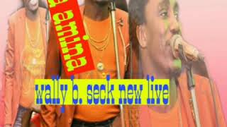 WALLY SECK NEW LIFE MOUDA AMINA BABA AMINA SAF SAP [upl. by Colleen922]