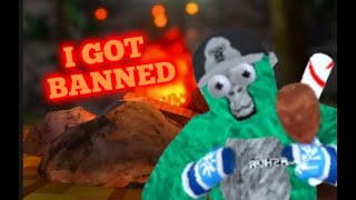 I GOT BANNED [upl. by Garnett]