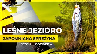 LEŚNE JEZIORO  Zapomniana metoda na sprężynę [upl. by Ennaeirb]