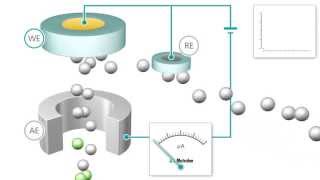 Amperometric Detection [upl. by Stephenson]