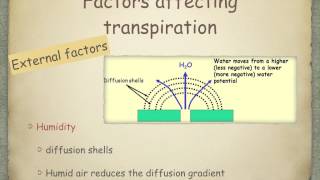 AS level G18 Transpiration Ms Cooper [upl. by Deegan]