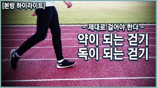 내 몸에 약이 되는 걷기 대체 어떻게 걸어야 할까 KBS20191106 방송 [upl. by Annovad]