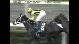 JRA CM MAD  ラストラン  ステイゴールド [upl. by Ashbey456]