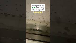 Daming Bug sa labas ng jollibee [upl. by Annairt]