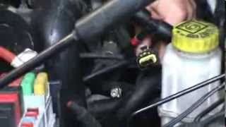 Fiat Stilo 19jtd 115HP Power Box Installation Guide Chip Tuning with Diesel Box [upl. by Azeel]