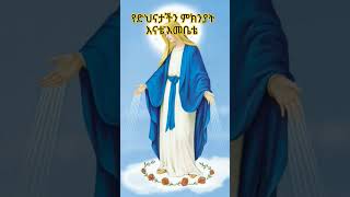 እሳት የማይበላው ሃመልማል አይኖርምሊቀ መዘምራን ቴዎድሮስ ዮሴፍ AbaGebrekidan ማርያም ሊቀ [upl. by Diane-Marie84]