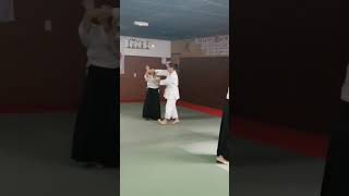 Cerdanya aïkido Dojo DEstavar ballaretbougerradiowebco aikido66com [upl. by Natsirc]