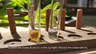 EXPERIMENT 2 DK024  SATURATED AND UNSATURATED HYDROCARBON [upl. by Haelak310]