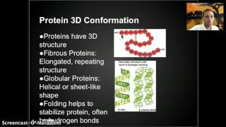 IB 24  Proteins [upl. by Bena]