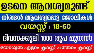 Job Vacancy Kerala today 2024 Kerala job vacancy Malayalam [upl. by Adlare]