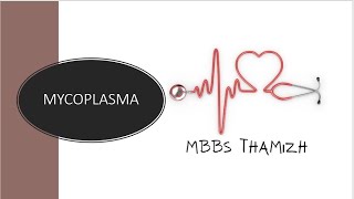 Mycoplasma l Microbiology in Tamil  MBBS Thamizh [upl. by Tseng159]