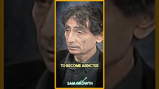 Why Capitalism Causes Addiction  Gabor Maté [upl. by Otxilac]