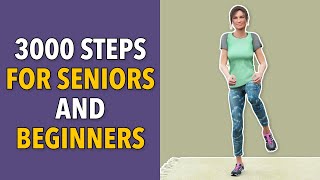 Easiest 3000 Steps For Seniors and Beginners Low Impact Standing Cardio [upl. by Herzig824]