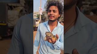 मेंढक🐸को Market घूमाने जानाfrog funny [upl. by Anwadal]