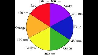 CHEM 1A Spectroscopy Lab Part B Absorbance Spectrum [upl. by Marthe]