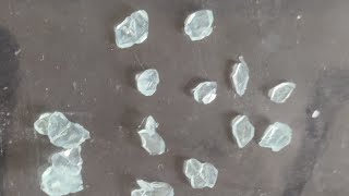 Crystals of Mohr Salt  Chemistry Practical Class 12 CBSE [upl. by Ardnaet29]