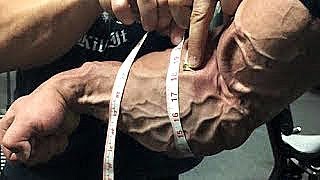 The Best Forearms in Bodybuilding [upl. by Aihtibat]