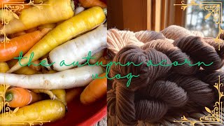 Dyeing Wool With Black Walnut  Harvesting Carrots A Vlog [upl. by Wampler]