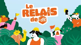 Le 18 mai 2025 prenez le relais de la SPA  🐾🏃 [upl. by Dolloff]