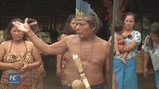 New life of the fearsome jivaro tribe in the Peruvian Amazon [upl. by Paapanen]