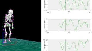 骨格モデル解析ソフトを使った歩行解析レポート〜Qualisys×Visual3D〜 [upl. by Ahaelam656]