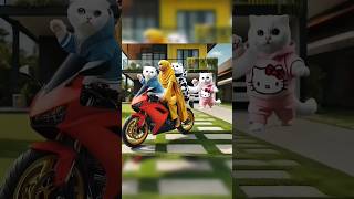 Ditinggal mama beli eskrim 😭 cutecat funny comedy trendingshorts [upl. by Lyret443]