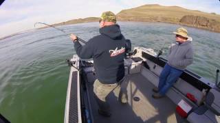 McNary Dam Sturgeon Fishing 2016 on the Columbia River [upl. by Enitsud]