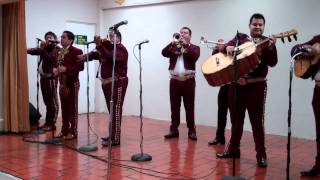 Mariachi Jalisco de Puerto Rico Interpreta Si Nos Dejan [upl. by Dredi]