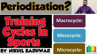 What is Periodization Sports Training Cycle – Micro Meso Macro Cycle [upl. by Maeve]