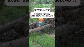 ‼️Trừng Trị Tên Đầu Trọc Phá Rừng‼️ trendingshorts shortvideo [upl. by Annahpos]