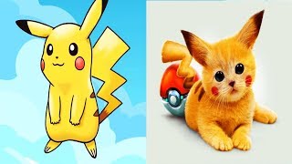 Pokemon Characters in Real Life  All Characters [upl. by Elatia]