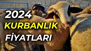 KURBANLIK KOÇ FİYATLAR  HAYVAN PAZARI GÜNCEL FİYATLAR [upl. by Dewayne]