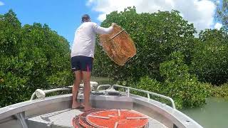 Mud Crabbing Mackay QLD  King Tides  EP 5 [upl. by Obnukotalo378]