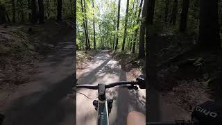 Ride the Trails of Divoká Šárka Pragues Cycling Haven mtbikercz mtb bikes downhill shorts [upl. by Evangelina609]